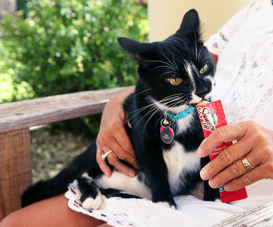Woman bonds with cat as she feeds him a treat