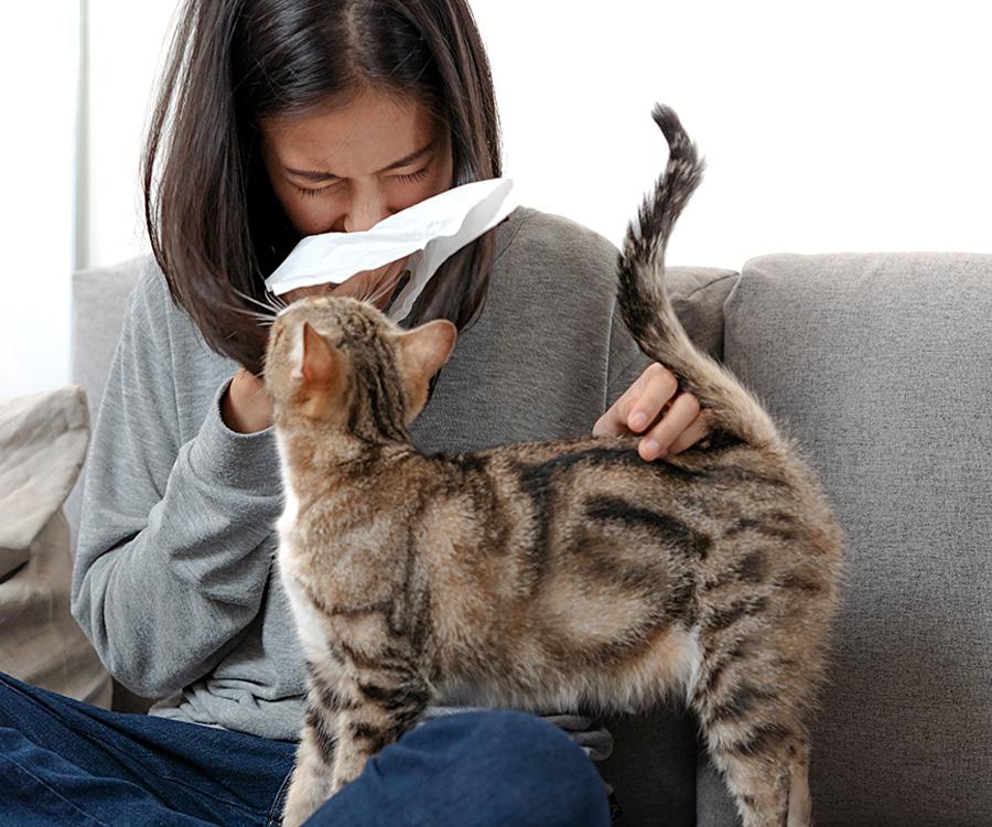 Pet Allergies - Woman sneezing into a tissue on the sofa with her cat.