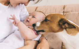 Acclimate your cats and dogs to your new baby