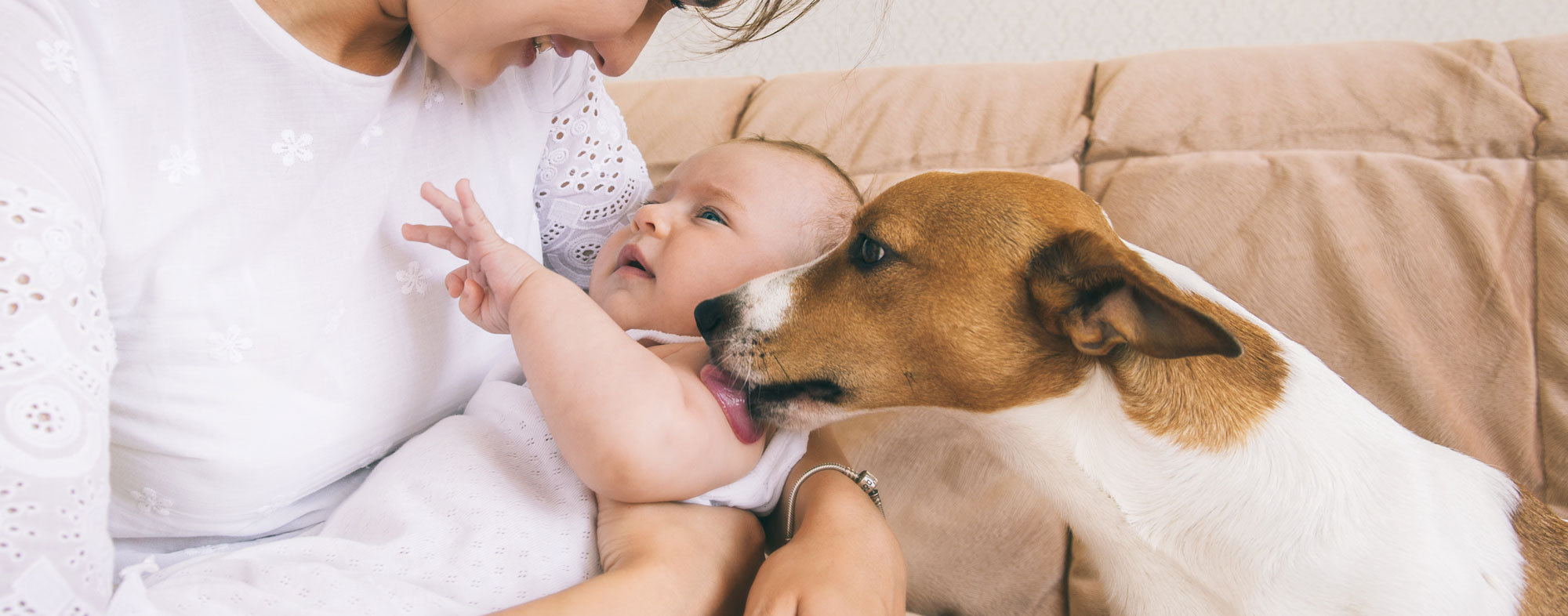 Acclimate your cats and dogs to your new baby