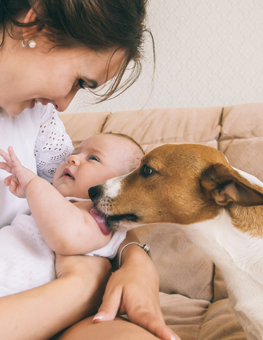 A well-trained dog can be your baby's best friend