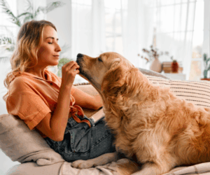 Help your pet mourn by distracting them with attention and treats.