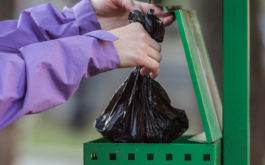 Biodegradable bags for dog poop respect the environment