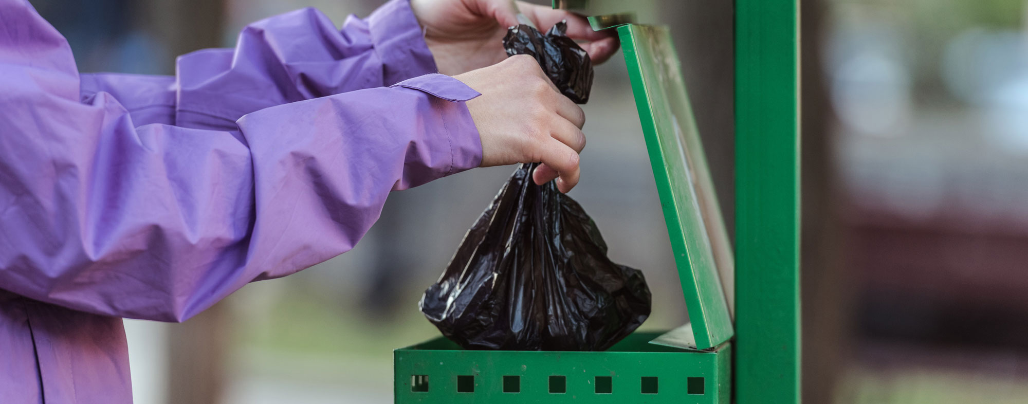 Biodegradable bags for dog poop respect the environment