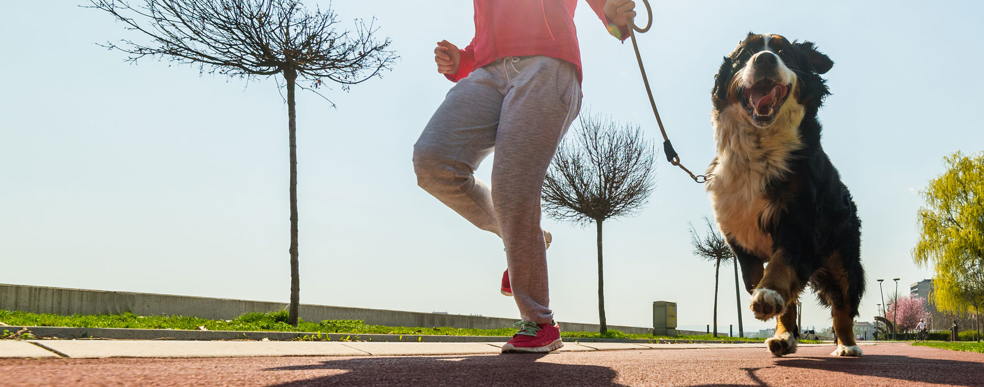 Lose weight and improve your health by running with your dog