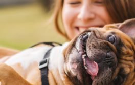 You and your dog can always play games together