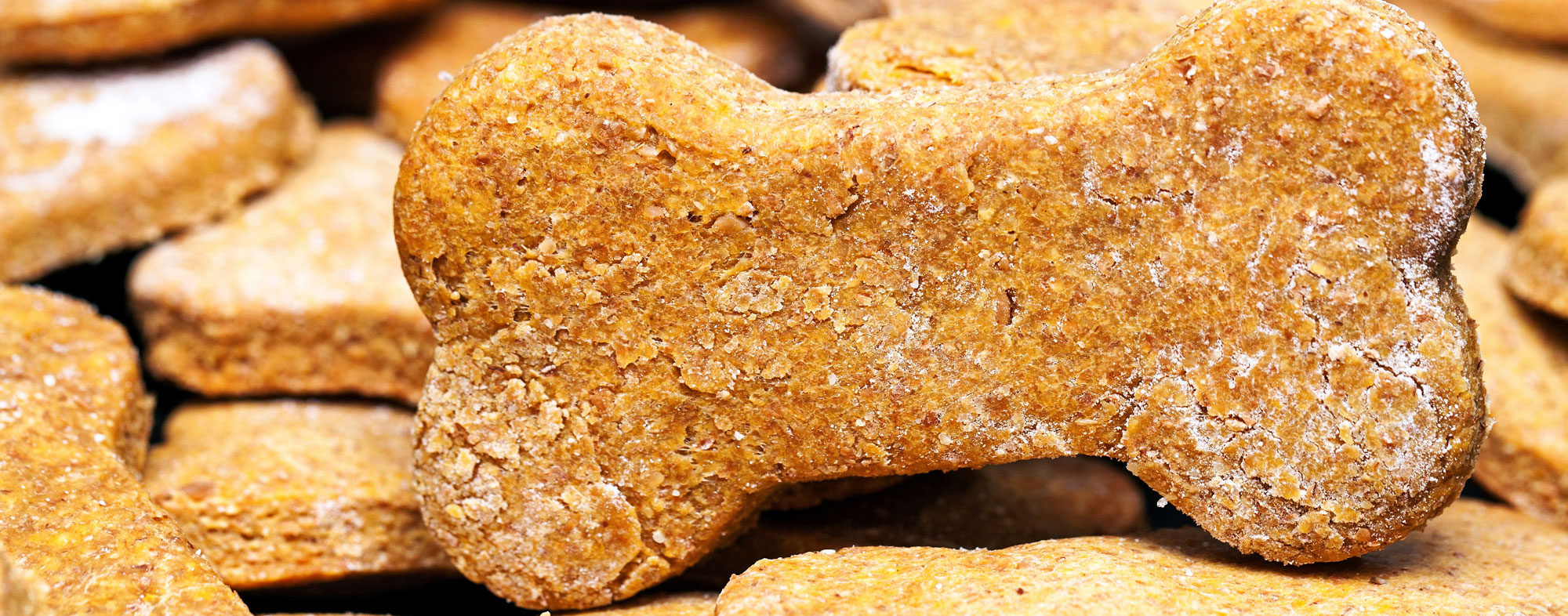 Sweet potato makes for a delicious dog biscuit your pet will love