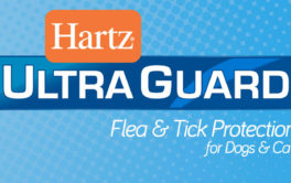 With a low toxicity, Hartz UltraGuard® is safe for dogs and cats