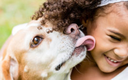 Prepare your kids for a new puppy by walking with them