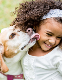 Before welcoming a new dog, supervise your kids with one. Learn more about adopting a dog and kids and dog.