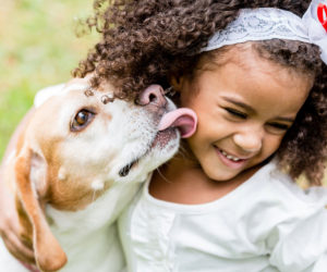 Girl and dog playing together. Learn more about kids and dogs.