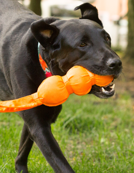 Hartz® Chew 'n Clean® Tri-Point Dog Toy - Small