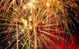 Bright and loud, the fourth of July tends to frighten or excite dogs