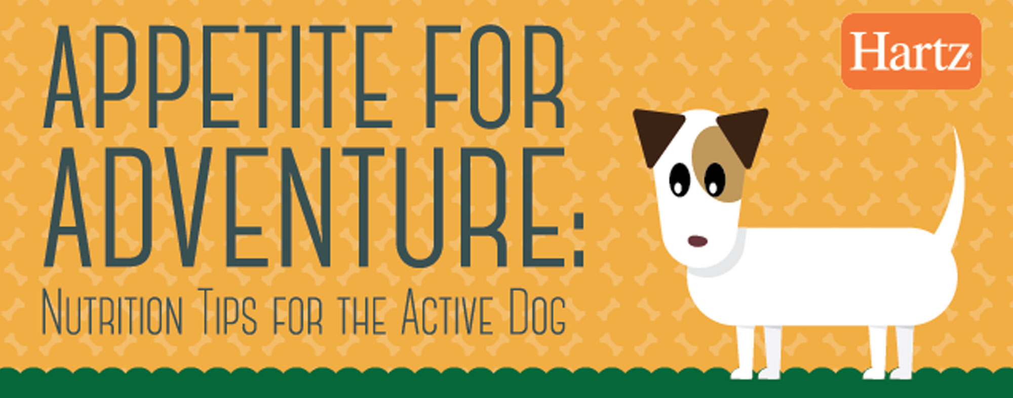 A Hartz illustration about how you should diet your dog