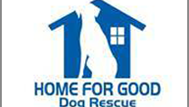 home_for_good home_for_good