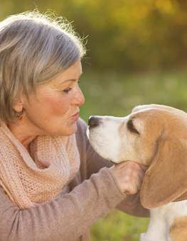 Pet owners experience less stress by spending time with their dogs