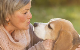 By walking with their dogs, pet owners can stay active and upbeat