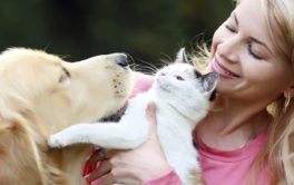 Cats and dogs will be safer with pet insurance, but mind the costs