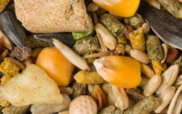 In the wild, a Bonanza mix is close to what a hamster would be eating