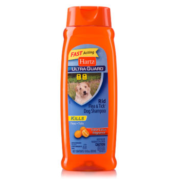 does regular dog shampoo kill fleas
