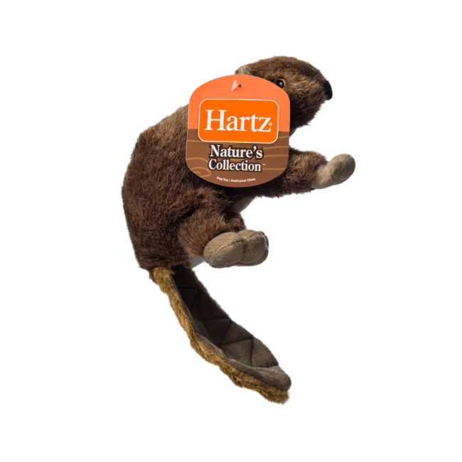 Squeaky dog toy in the shape of a plush beaver, Hartz SKU 3270004349