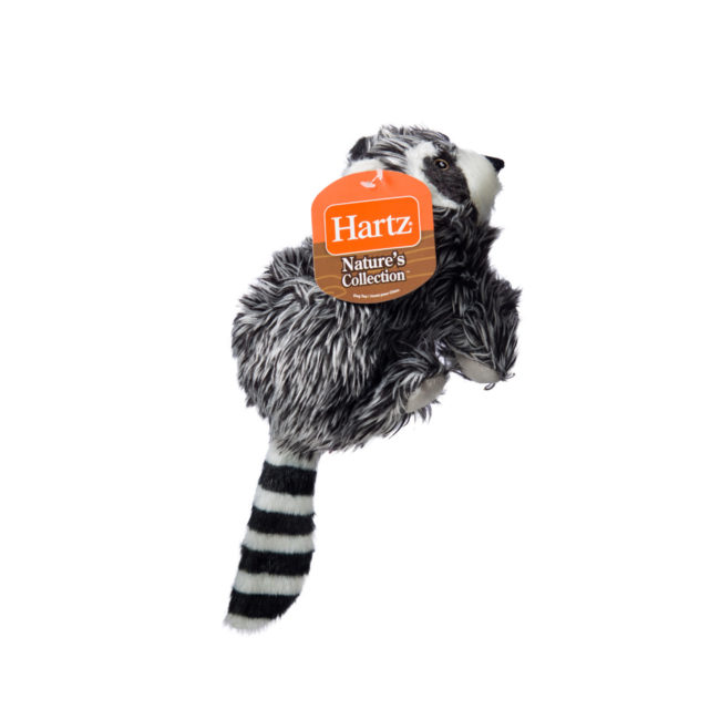 Squeaky dog toy in the shape of a plush raccoon, Hartz SKU 3270004349