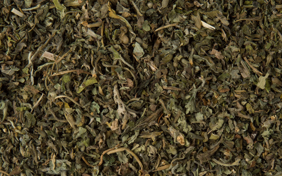 hartz catnip