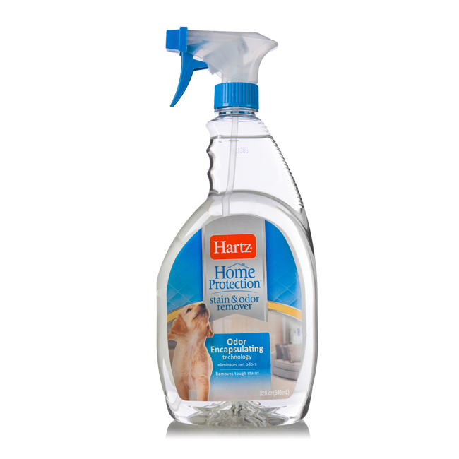 up and up stain and odor eliminator