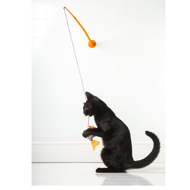 Black cat standing on its legs, playing with fish toy, Hartz SKU 3270088538