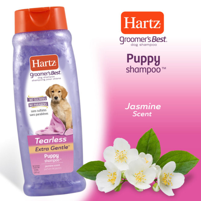 Hartz groomers best puppy shampoo with Jasmine Scent.