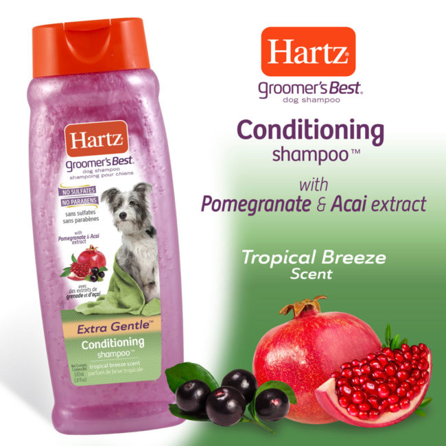 Hartz groomers best conditioning shampoo with pomegranate and acai extract. Tropical breeze scent.
