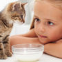 Young girl learns how to feed her kitten from a bowl