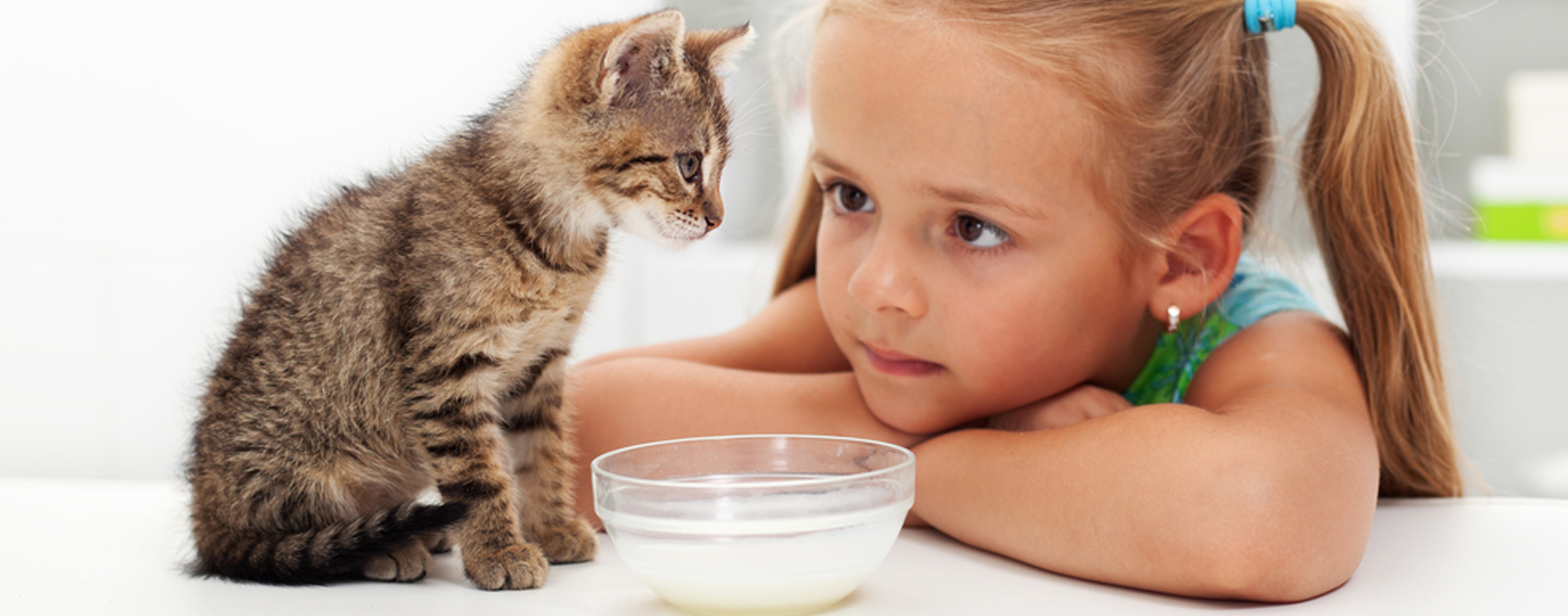 Young girl learns how to feed her kitten from a bowl