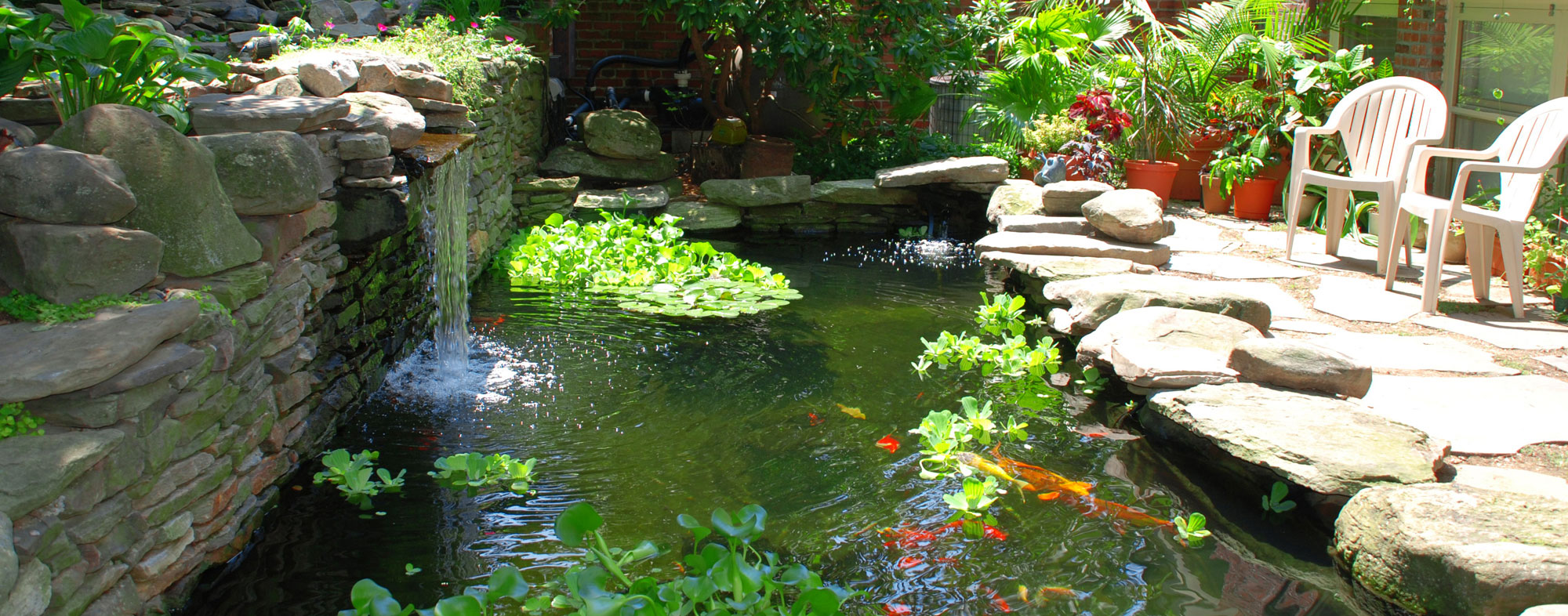 Constructing Your Own Backyard Pond Hartz