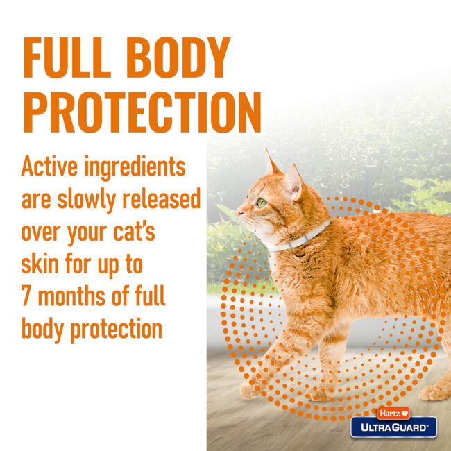 Ultraguard cat collar full body protection