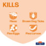 Home spray kills fleas, brown dog ticks and flea eggs