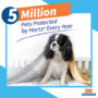 Hartz UltraGuard flea and tick treatment protects 5 million pets every year.
