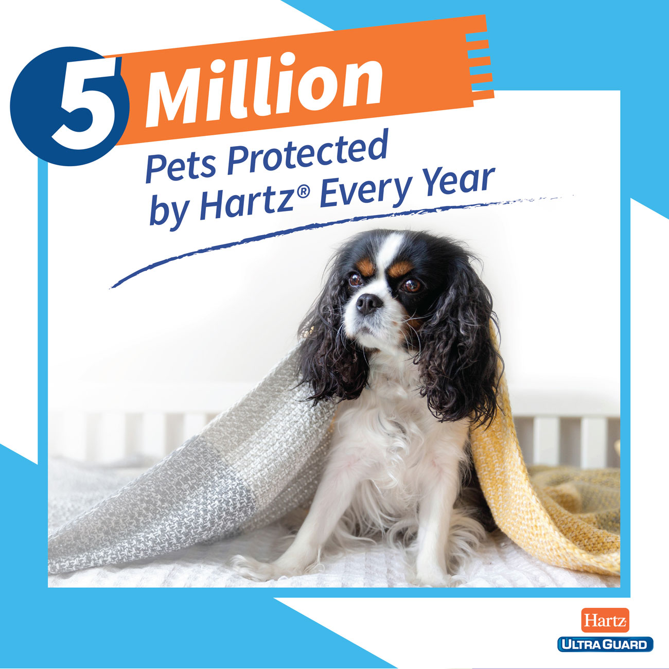 are hartz flea collars safe for dogs