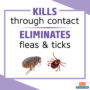Hartz UltraGuard Plus flea and tick collar for cats & kittens kills & repels fleas, ticks, flea eggs & flea larvae.