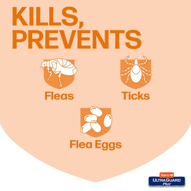 Flea tick spray kills prevents fleas, ticks and flea eggs
