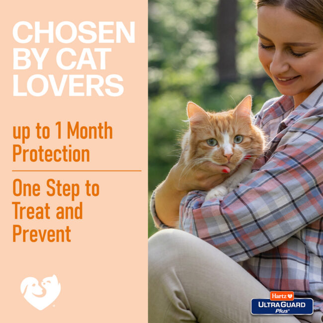 Flea tick spray chosen by cat lovers