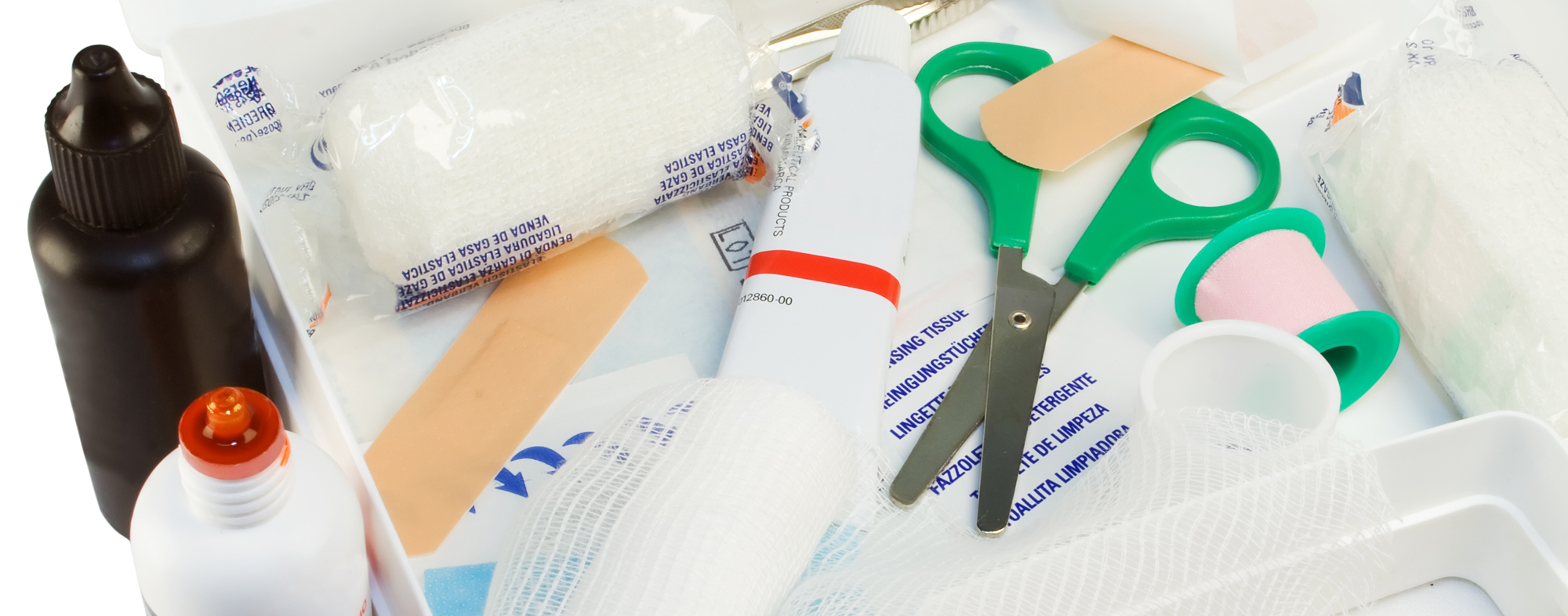 Making a Pet First Aid Kit for Cats and Dogs Hartz