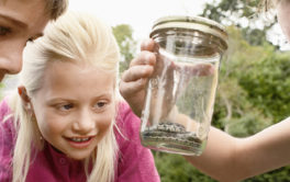 A newly adopted pet reptile, safely bottled in a mason jar held by une fille