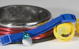 All the essential dog supplies, like a metal bowl, harness, and ball toys