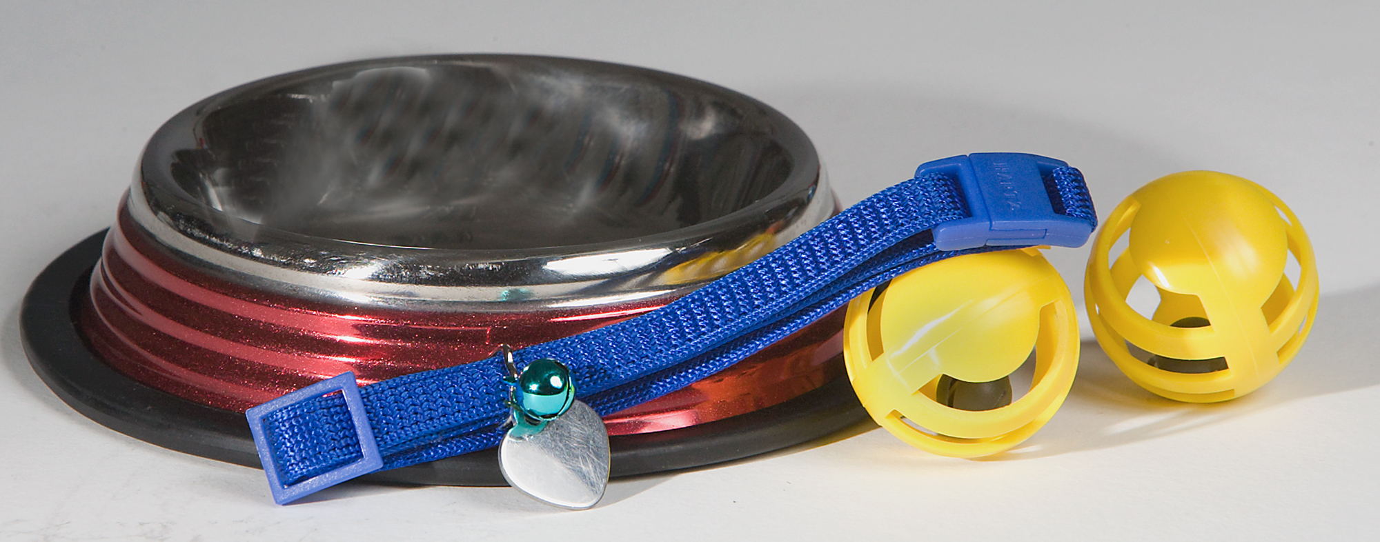 All the essential dog supplies, like a metal bowl, harness, and ball toys