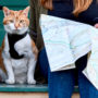 Owner consults a map, with her cat leased next to her, while traveling