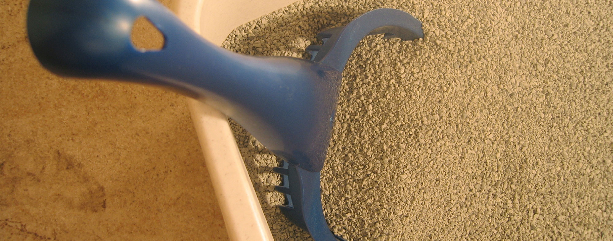 When Your Cat Won’t Use the Litter Box Hartz