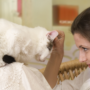 After adopting a cat, woman shows affection by scratching its head