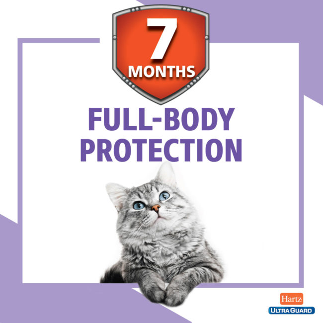 Flea and tick collar for cats offers full-body protection and flea and tick prevention for your cat.