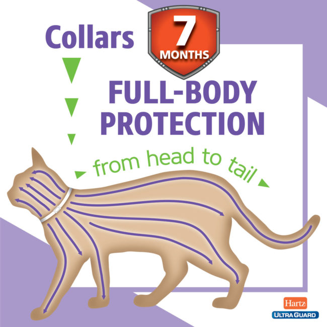 Full-body flea and tick protection. Collars cats are comfortable with.